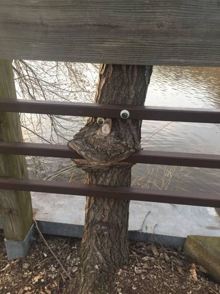 daily picdump 102 pics 48.html - 102 HD Photos | Premium Gallery 2017