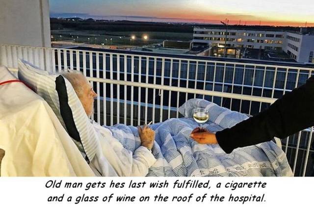 daily picdump 102 pics 48.html - 102 HD Photos | Premium Gallery 2017