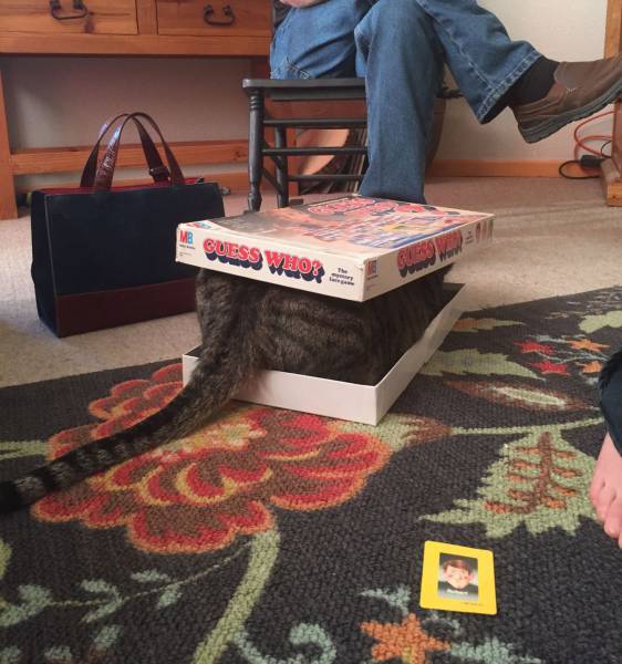 daily picdump 102 pics 48.html - 102 HD Photos | Premium Gallery 2017