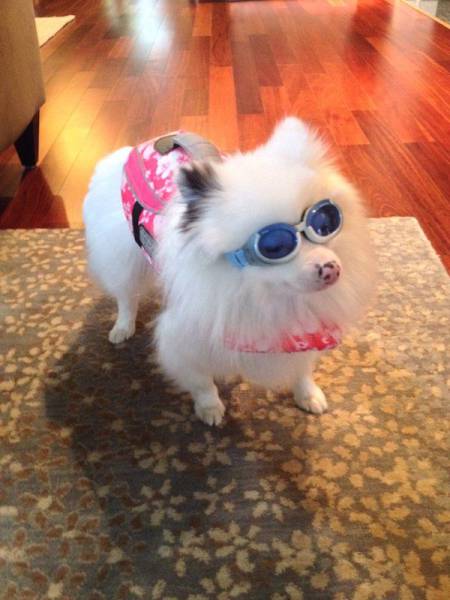 daily picdump 102 pics 48.html - 102 HD Photos | Premium Gallery 2017