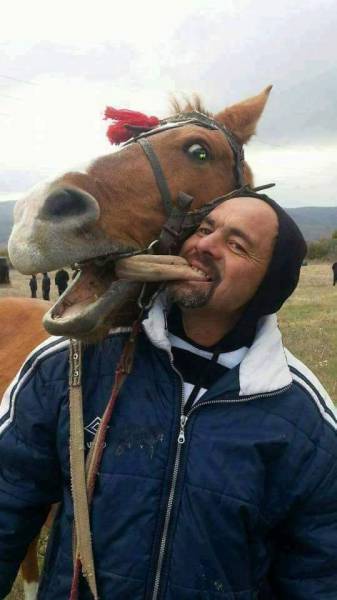 daily picdump 102 pics 48.html - 102 HD Photos | Premium Gallery 2017