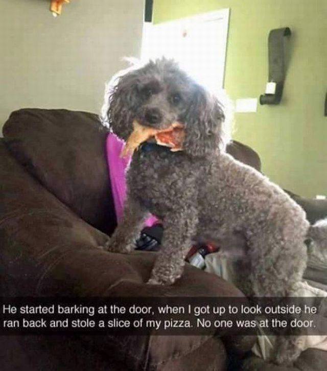 daily picdump 102 pics 48.html - 102 HD Photos | Premium Gallery 2017