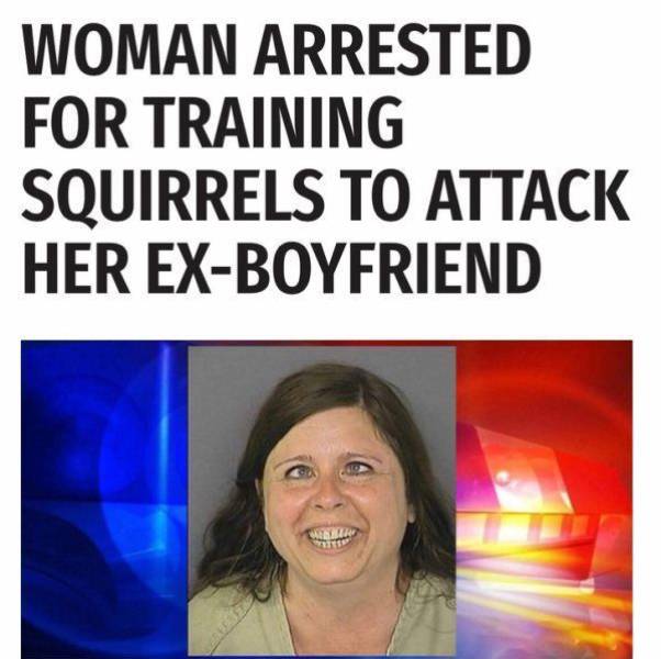 daily picdump 96 pics 30.html - 96 HD Photos | Premium Gallery 2017