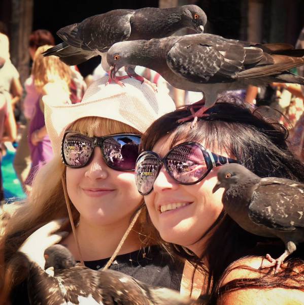 daily picdump 96 pics 30.html - 96 HD Photos | Premium Gallery 2017