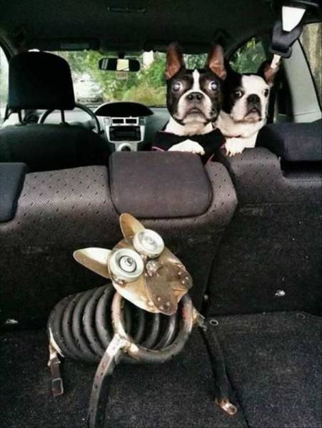 daily picdump 96 pics 30.html - 96 HD Photos | Premium Gallery 2017