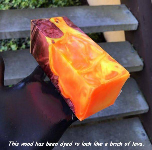 daily picdump 96 pics 30.html - 96 HD Photos | Premium Gallery 2017