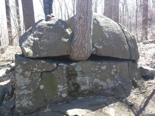 daily picdump 96 pics 30.html - 96 HD Photos | Premium Gallery 2017