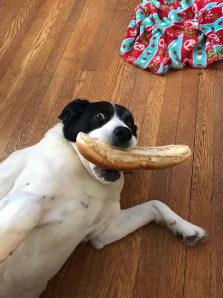 daily picdump 96 pics 30.html - 96 HD Photos | Premium Gallery 2017