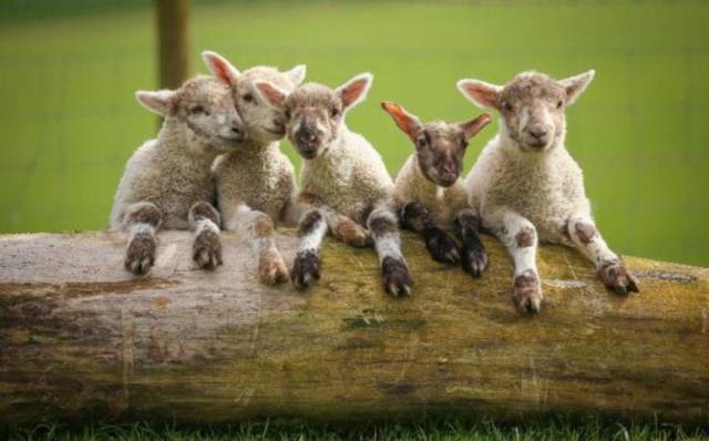 daily picdump 96 pics 30.html - 96 HD Photos | Premium Gallery 2017