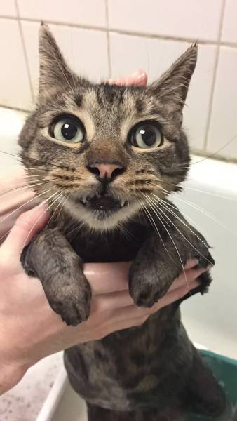 daily picdump 96 pics 30.html - 96 HD Photos | Premium Gallery 2017