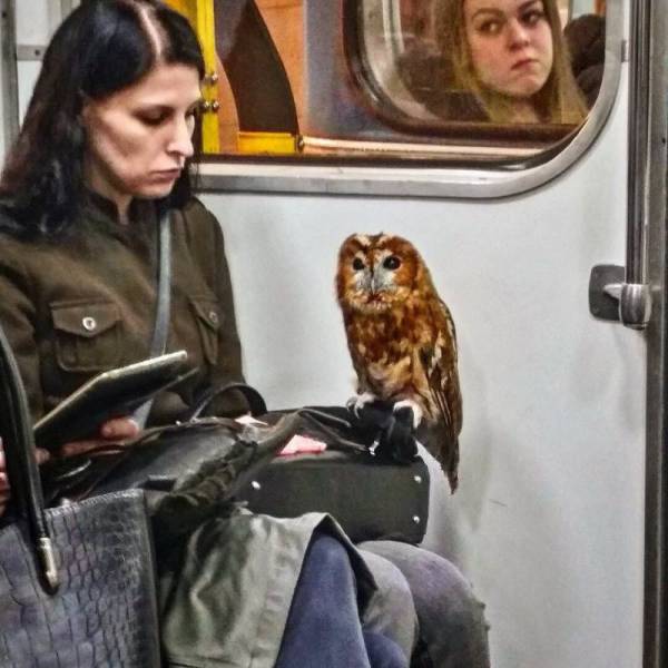 daily picdump 96 pics 30.html - 96 HD Photos | Premium Gallery 2017