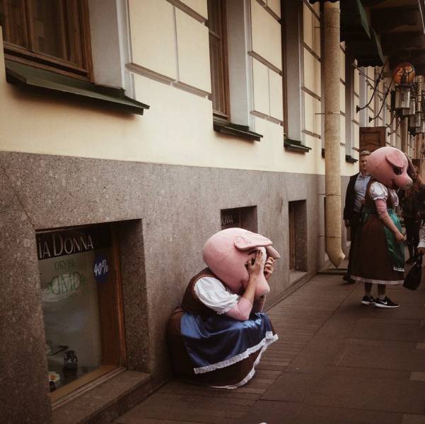 daily picdump 96 pics 30.html - 96 HD Photos | Premium Gallery 2017