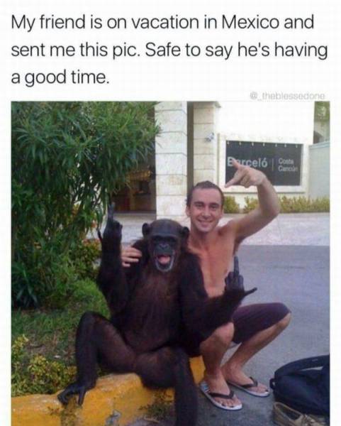 daily picdump 96 pics 30.html - 96 HD Photos | Premium Gallery 2017