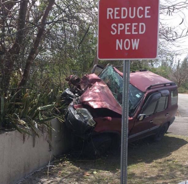 morning picdump 51 pics 2.html - 51 HD Photos | Premium Gallery 2017