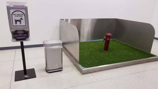 morning picdump 51 pics 2.html - 51 HD Photos | Premium Gallery 2017