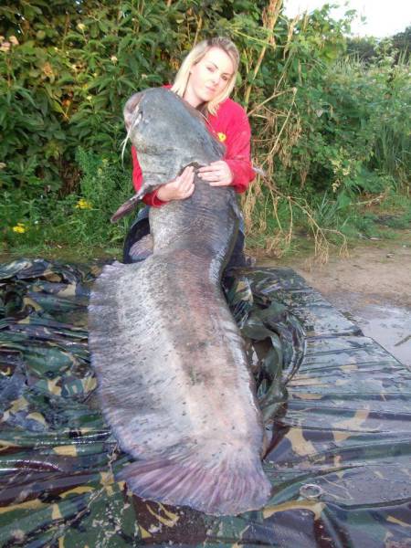 daily picdump 92 pics 2.html - 92 HD Photos | Premium Gallery 2017