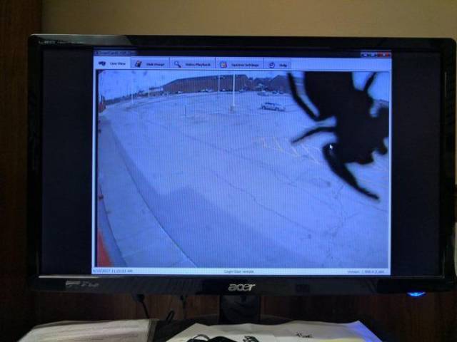 daily picdump 92 pics 2.html - 92 HD Photos | Premium Gallery 2017