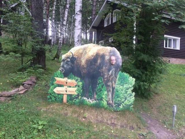 daily picdump 92 pics 2.html - 92 HD Photos | Premium Gallery 2017