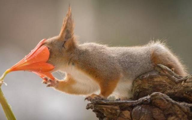 daily picdump 92 pics 2.html - 92 HD Photos | Premium Gallery 2017