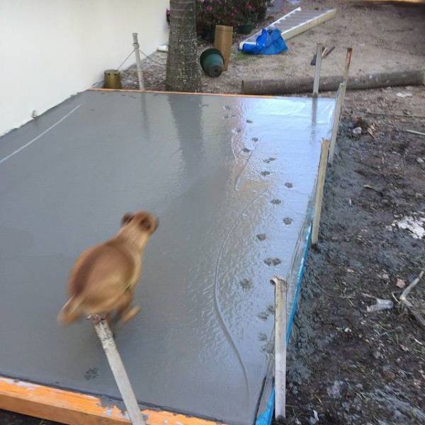 daily picdump 92 pics 2.html - 92 HD Photos | Premium Gallery 2017