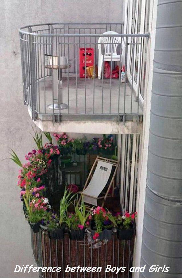 daily picdump 92 pics 2.html - 92 HD Photos | Premium Gallery 2017