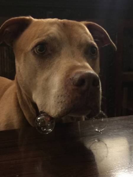 morning picdump 50 pics 2.html - 50 HD Photos | Premium Gallery 2017