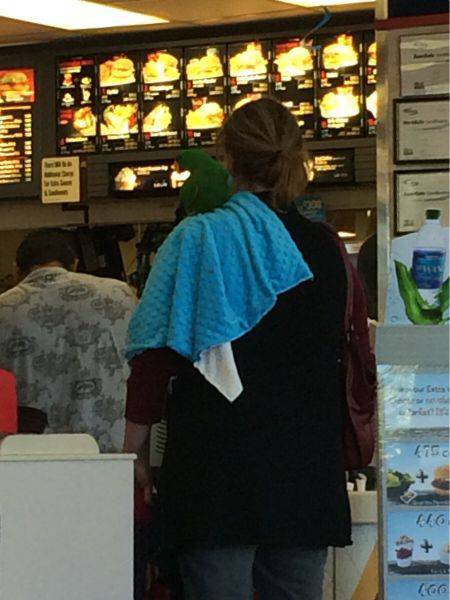 morning picdump 50 pics 2.html - 50 HD Photos | Premium Gallery 2017