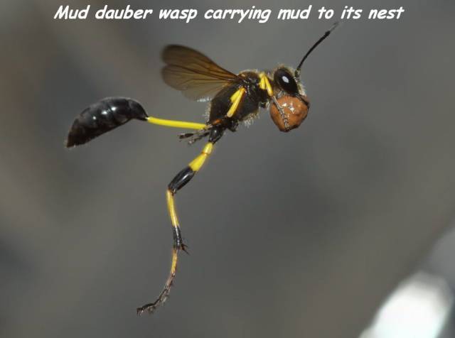 daily picdump 98 pics 3.html - 98 HD Photos | Premium Gallery 2017