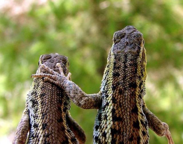 daily picdump 98 pics 3.html - 98 HD Photos | Premium Gallery 2017