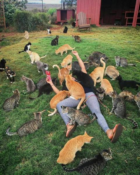 daily picdump 98 pics 3.html - 98 HD Photos | Premium Gallery 2017