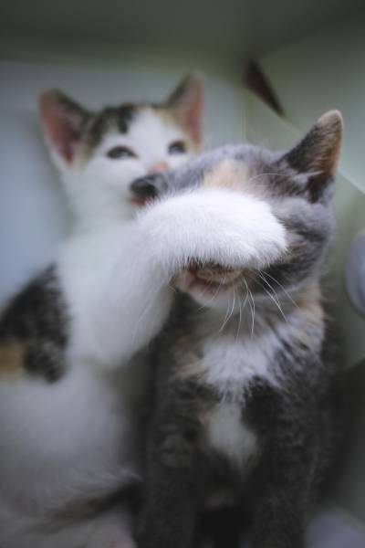 daily picdump 98 pics 3.html - 98 HD Photos | Premium Gallery 2017