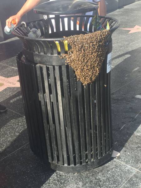 daily picdump 98 pics 3.html - 98 HD Photos | Premium Gallery 2017