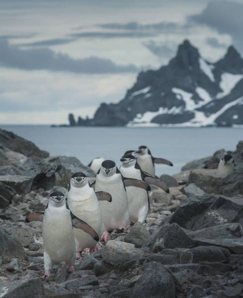 daily picdump 98 pics 3.html - 98 HD Photos | Premium Gallery 2017