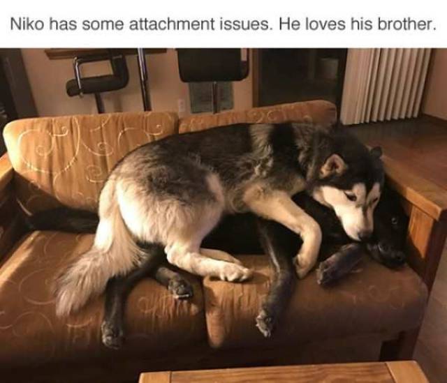 daily picdump 98 pics 3.html - 98 HD Photos | Premium Gallery 2017