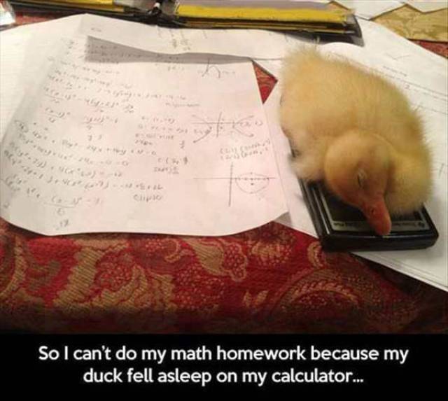 daily picdump 98 pics 3.html - 98 HD Photos | Premium Gallery 2017