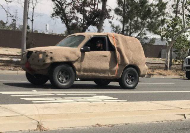 daily picdump 98 pics 3.html - 98 HD Photos | Premium Gallery 2017