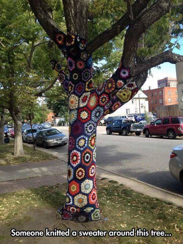 daily picdump 98 pics 3.html - 98 HD Photos | Premium Gallery 2017