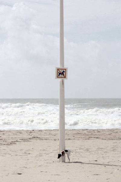 daily picdump 96 pics 41.html - 96 HD Photos | Premium Gallery 2017