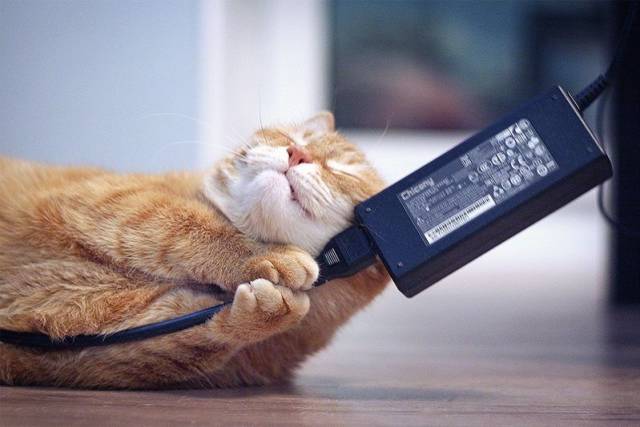 daily picdump 96 pics 41.html - 96 HD Photos | Premium Gallery 2017