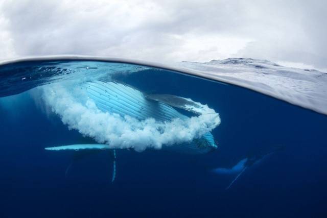 daily picdump 96 pics 41.html - 96 HD Photos | Premium Gallery 2017