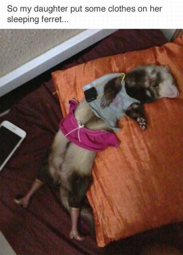 daily picdump 96 pics 41.html - 96 HD Photos | Premium Gallery 2017