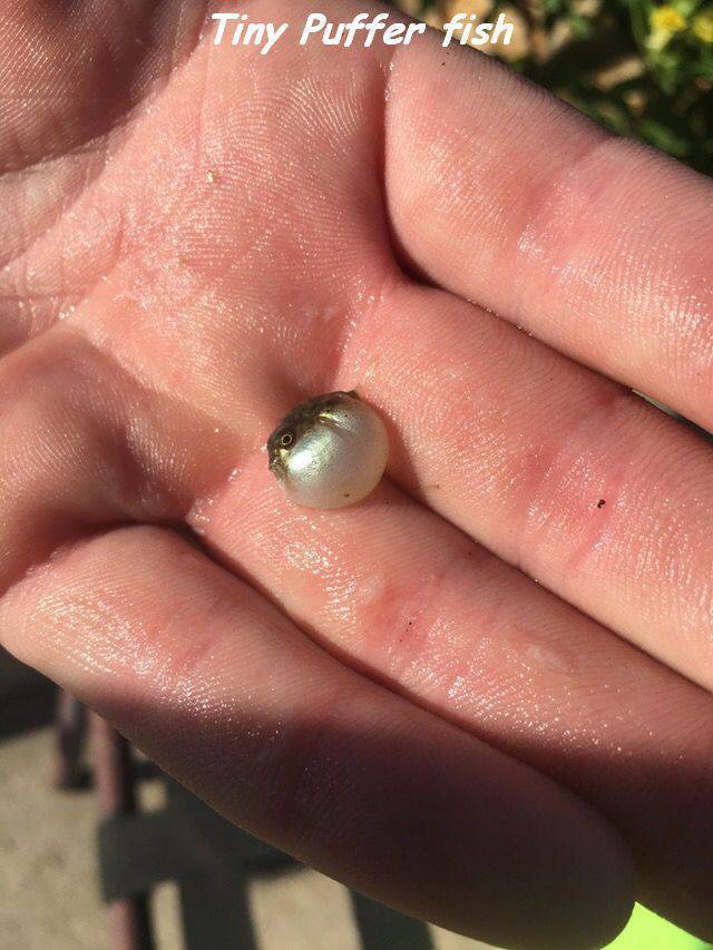 daily picdump 96 pics 41.html - 96 HD Photos | Premium Gallery 2017