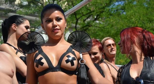 grownup corner 63 pics 4 gifs 31.html - 63 HD GIF | Premium Gallery 2017