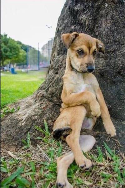 morning picdump 50 pics 2.html - 50 HD Photos | Premium Gallery 2017