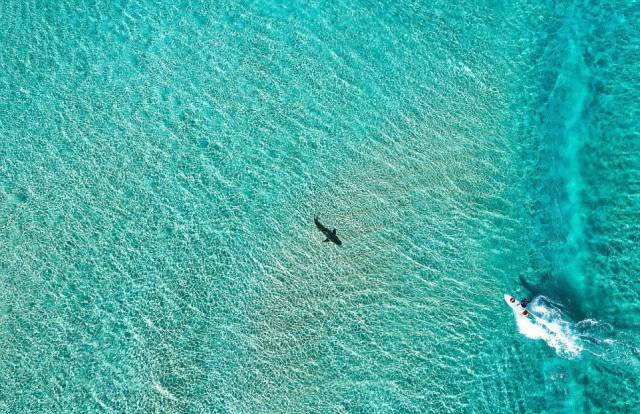 Daily Picdump [WEEKEND EDITION]