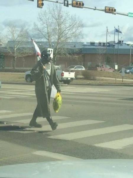 Daily Picdump [WEEKEND EDITION]