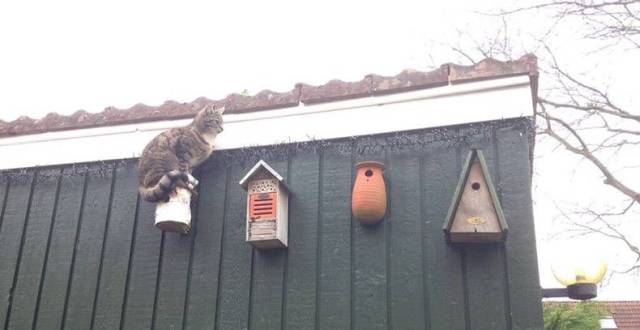 Daily Picdump [WEEKEND EDITION]