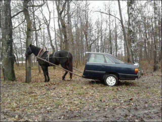 Daily Picdump [WEEKEND EDITION]