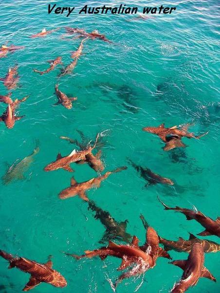 Daily Picdump [WEEKEND EDITION]