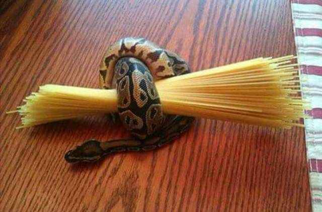 daily picdump weekend edition 73 pics 2.html - 73 HD Photos | Premium Gallery 2017